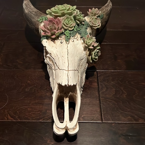 Resin skull and succulents 18” EUC - Picture 5 of 9